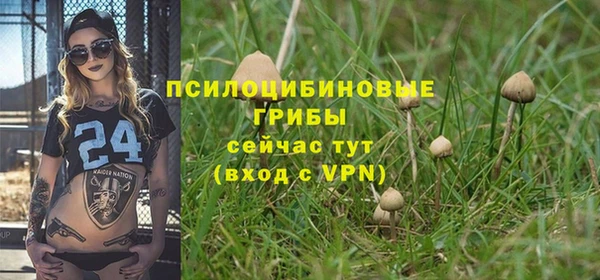 винт Пестово