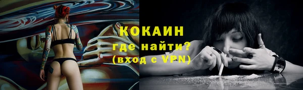 винт Пестово