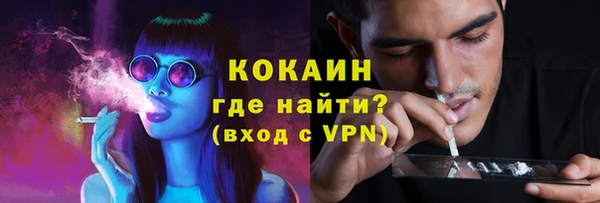 мяу мяу мука Пересвет