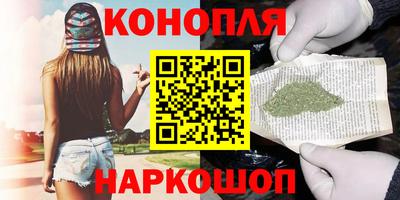 Альфа ПВП Гатчина