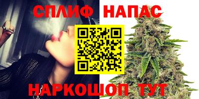 МДПВ Гагарин