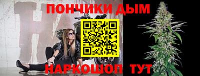 Альфа ПВП Гатчина