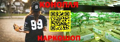 каннабис Гай