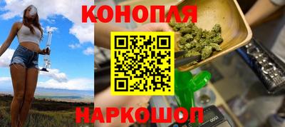 Альфа ПВП Гатчина