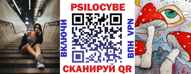 наркотики  Лыткарино  Галлюциногенные грибы Psilocybine cubensis 