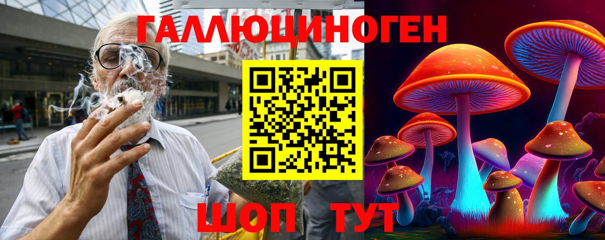 Псилоцибиновые грибы Psilocybine cubensis Лыткарино
