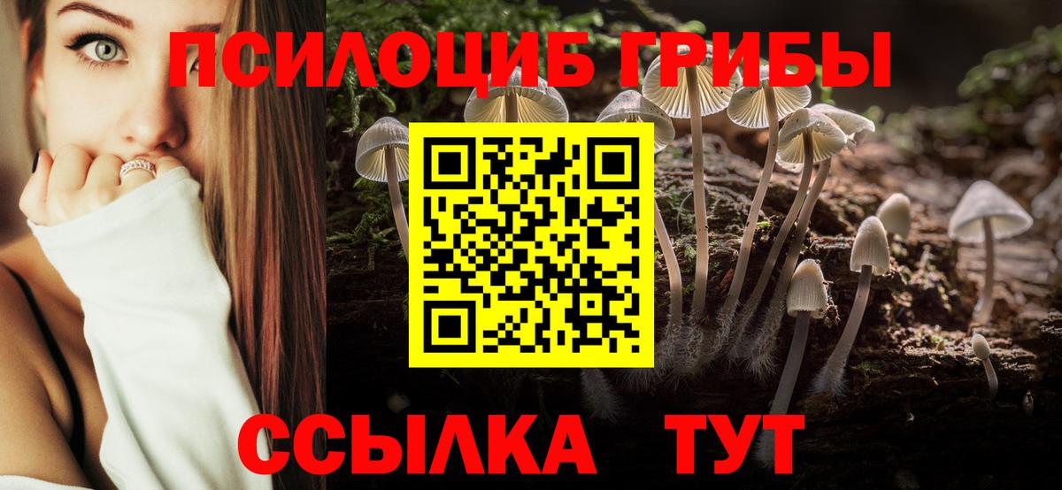 Лыткарино  Галлюциногенные грибы ЛСД  Вход с VPN 