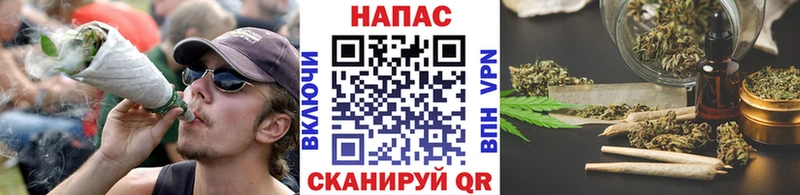 Бошки Шишки MAZAR  Лыткарино 